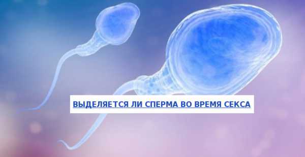 Спермы мало когда кончаю – Почему у мужчины стало выделяться очень мало спермы - причины малого количества семени при эякуляции, что делать с проблемой