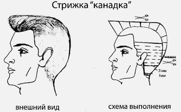 Спортивная канадка стрижка мужская – спортивная и классическая, технология выполнения, видео, фото