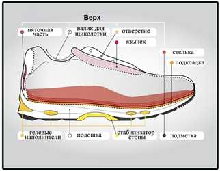 Спортивная обувь как называется – мужская и женская обувь от А до Я – Obliqo
