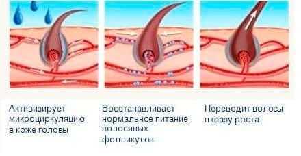 Средство для роста бороды в аптеке – какие виды аптечных препаратов являются самыми эффективными (список названий лучших) и каков их принцип действия?