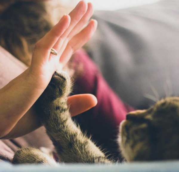 Срочно поднять настроение – Как поднять настроение себе быстро, когда оно на нуле