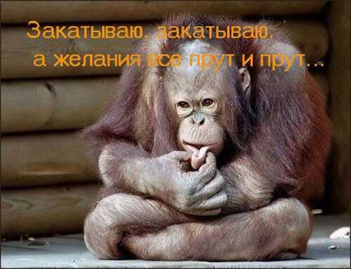 Срочно поднять настроение – Как поднять настроение себе быстро, когда оно на нуле