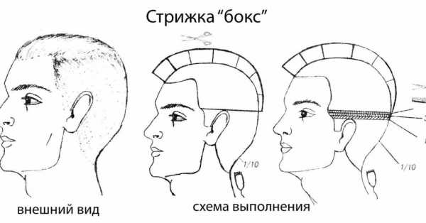 Стрижка бокс женская – фото на волосах разной длины, как укладывать прическу, кто из знаменитостей носит, можно ли выполнить самостоятельно, плюсы и минусы