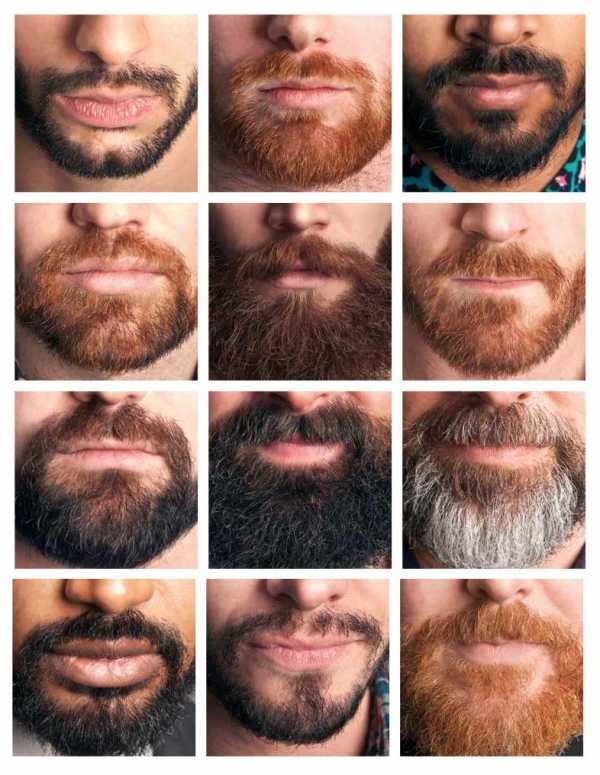 Стрижка борода – Учимся делать стрижку бороды правильно в домашних условиях и в салоне