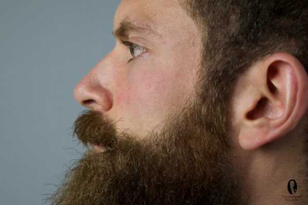 Стрижка борода – Учимся делать стрижку бороды правильно в домашних условиях и в салоне