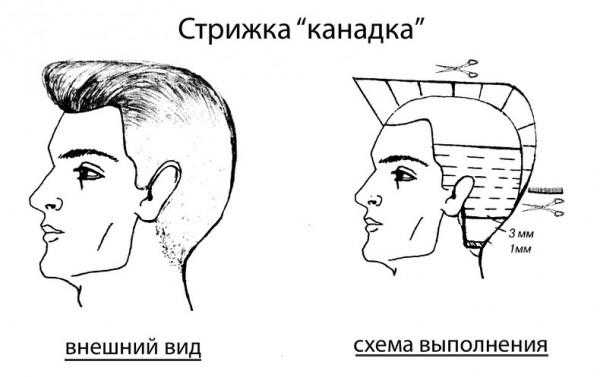 Стрижка канадка фото для мальчика – модная спортивная мужская прическа для подростков