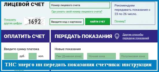 Свет передать – Частным клиентам  «ТНС энерго Нижний Новгород»