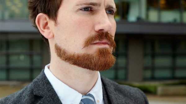 Типы борода – стрижки, фото и названия. Бороды по типу лица, которые всегда выглядят стильно.