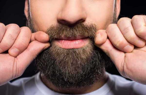 Триммер для длинной бороды – ТОП 11 лучших триммеров для бороды и усов в 2017 – рейтинг MenHairCuts.ru