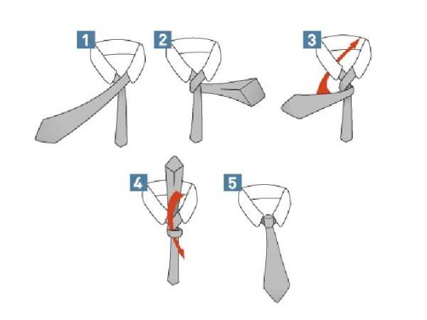 Узлы для узкого галстука – Как завязать тонкий галстук - схема и фото инструкции