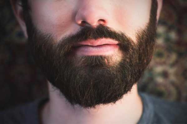 В 16 лет щетина – Как отрастить бороду в 16 лет, гормональный период, щетина в период от 14 до 17 лет