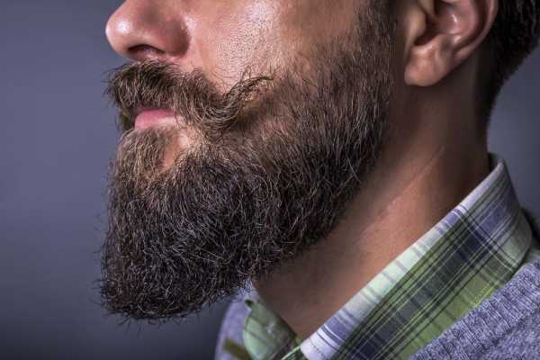 Вид бороды – стрижки, фото и названия. Бороды по типу лица, которые всегда выглядят стильно.