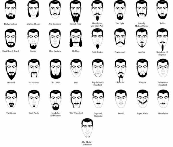 Виды бороды без усов у мужчин фото – Смотри! Модная борода 2018-2019 у мужчин 150 фото с усами и без