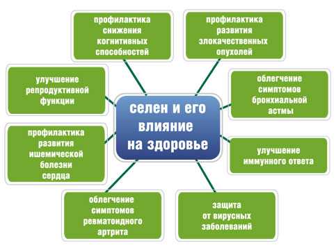 Витамины для мужчин с цинком и селеном название – названия лучших комплексов и обзор их характеристик