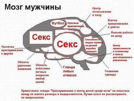 Вопросы о любви и отношениях – Какие вопросы можно задать парню про любовь