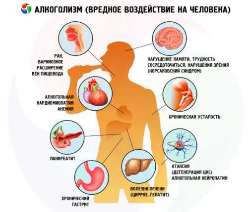 Вредная привычка алкоголь – Вредные привычки