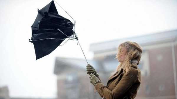 Зонт хороший – 12 лучших производителей зонтов - Рейтинг 2019